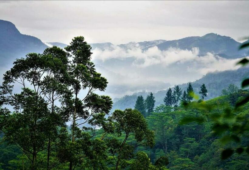 キャビン, Maskeli Oya Family Park