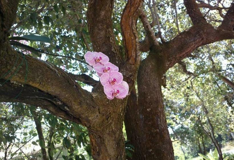 ویلای 3 خوابه با استخر, Maya Beach