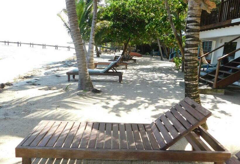 سوئیت با تخت بزرگ, Maya Beach