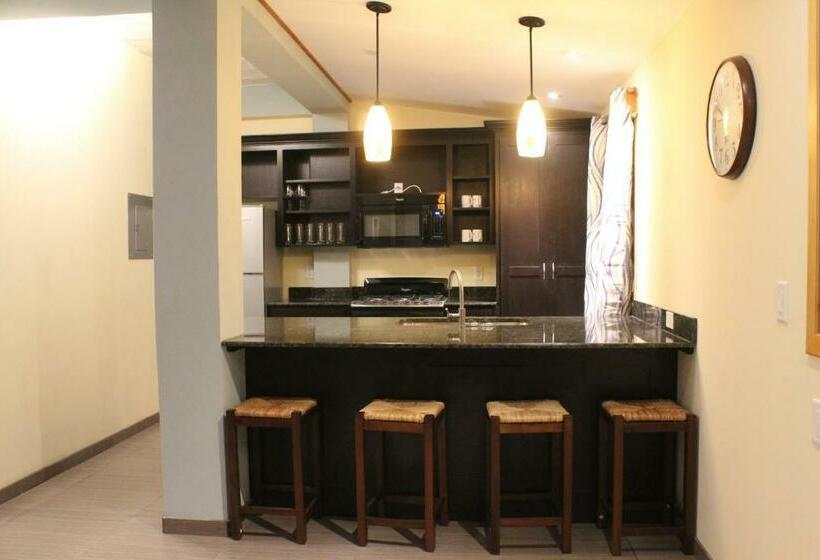 اتاق سوپریور با تخت بزرگ, Maya Beach