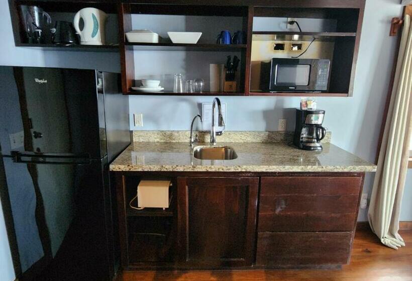 اتاق استاندارد با تخت بزرگ, Maya Beach