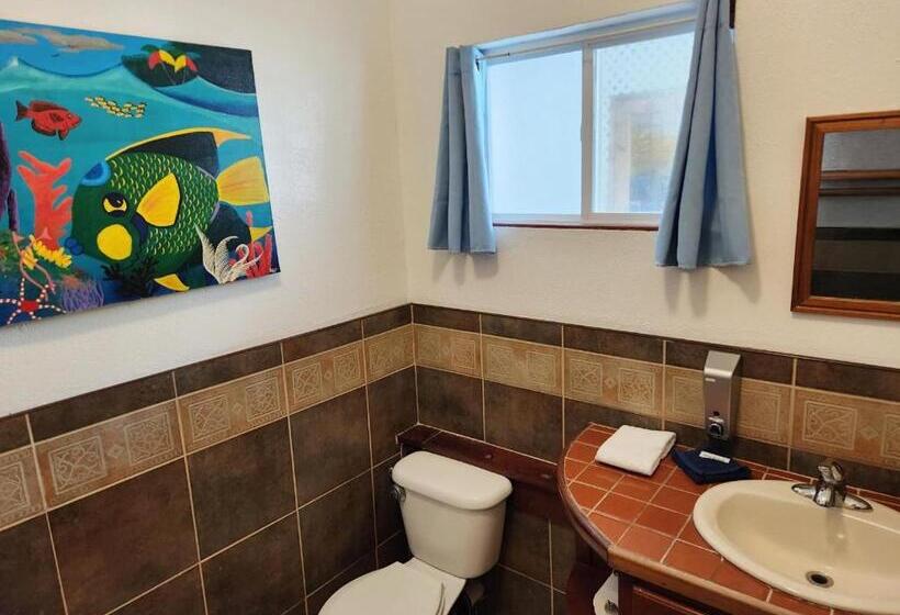 اتاق استاندارد, Maya Beach