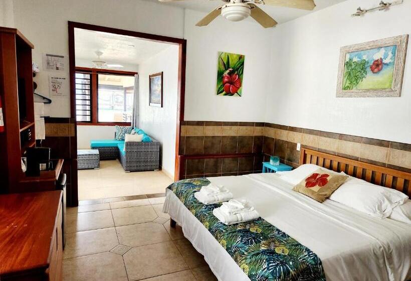 اتاق استاندارد, Maya Beach