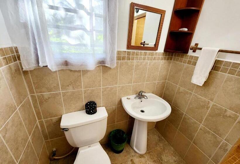 استودیو استاندارد با چشمانداز استخر, Maya Beach