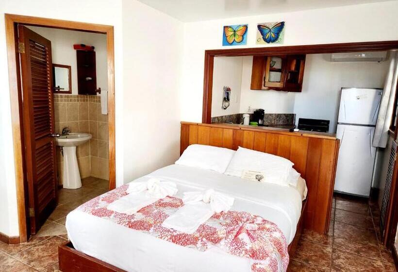 استودیو استاندارد با چشمانداز استخر, Maya Beach