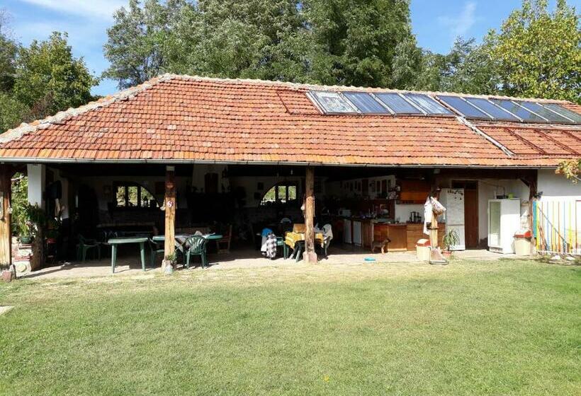 חדר סטנדרט, Chuchi Guest House 1