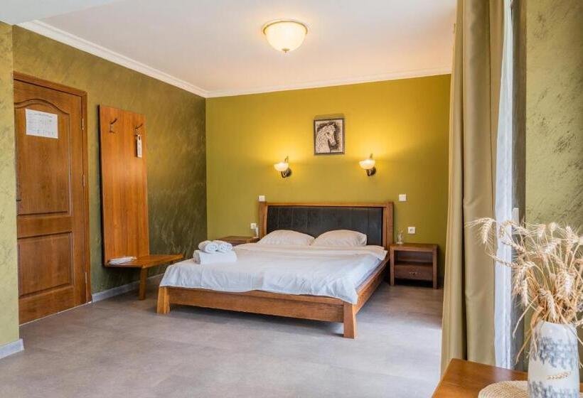キングサイドベッドのスタンダードワンルーム, Guest House Valevtsi