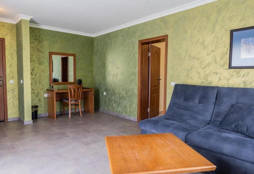 Апартаменты 1 Спальня, Guest House Valevtsi
