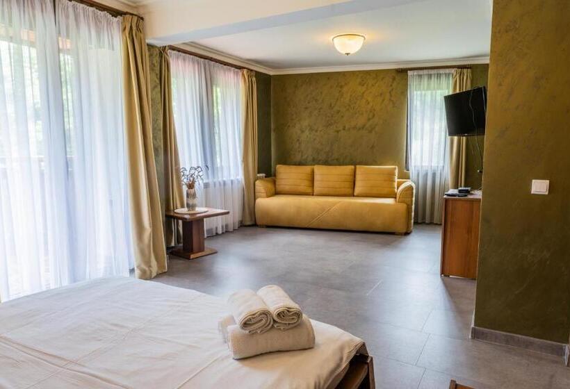 キングサイドベッドのスタンダードワンルーム, Guest House Valevtsi