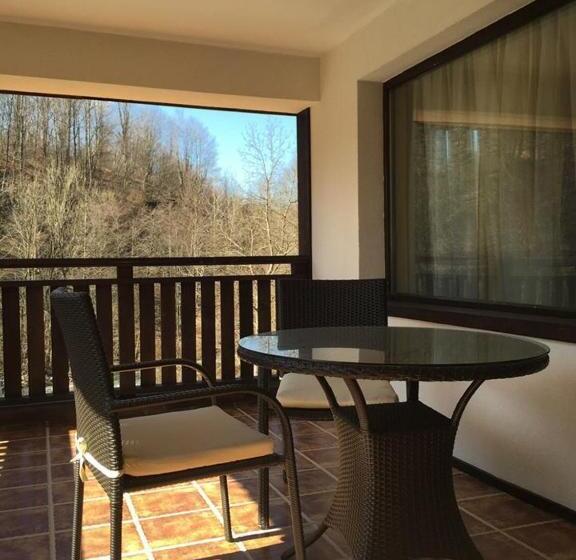 Апартаменты 1 Спальня, Guest House Valevtsi