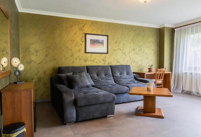 1ベッドルームアパートメント, Guest House Valevtsi