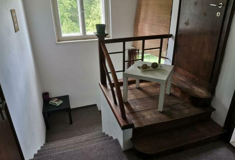 庭の見える１ベッドルームアパートメント, Vilaeva Adršpach Broumovsko