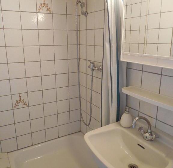 标准单人间, Pension Velber