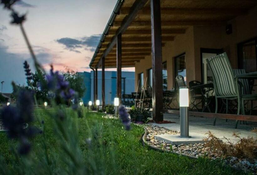 스탠다드 룸 킹사이즈 침대, Pensiunea Almada