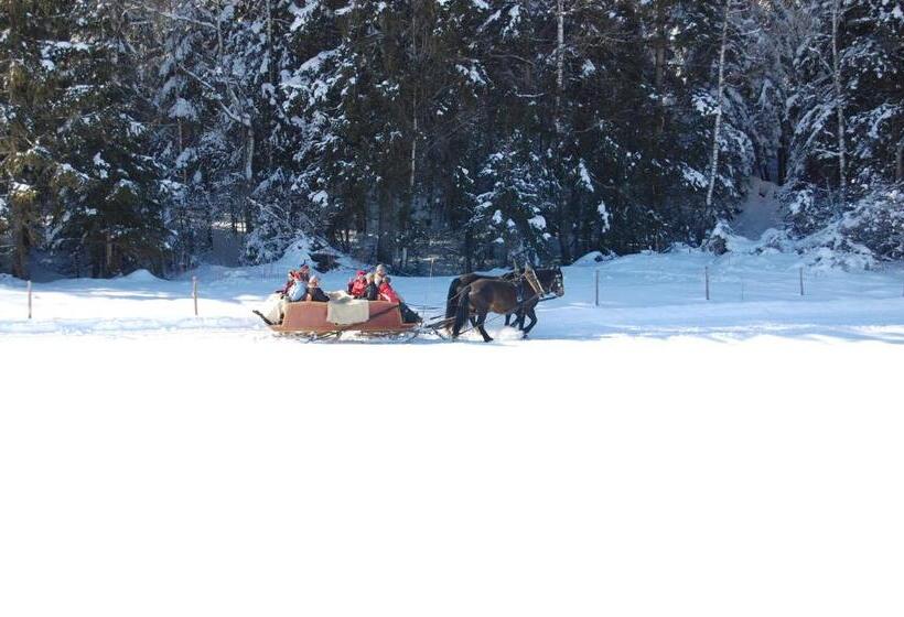 Номер Стандарт с Балконом, Bauernhof Kotz