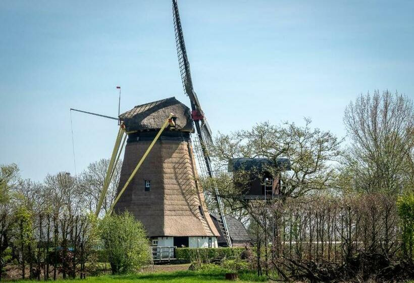 חדר דלוקס נוף לגינה, De Oosterling