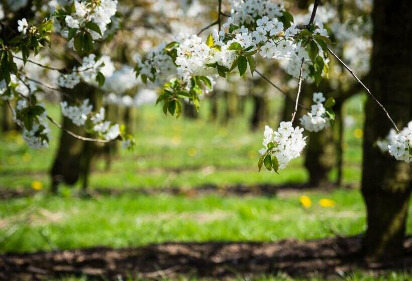 חדר דלוקס נוף לגינה, De Oosterling