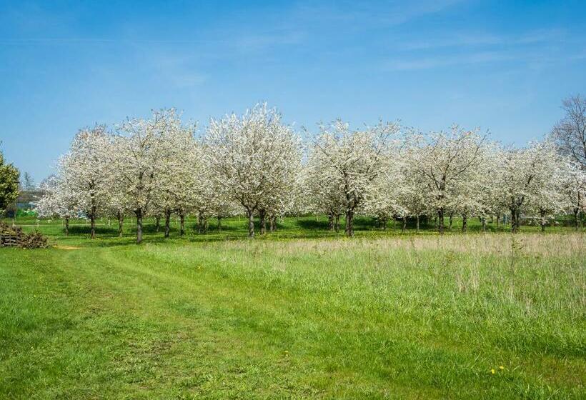 חדר דלוקס נוף לגינה, De Oosterling