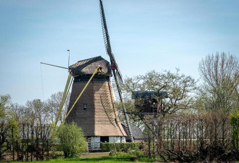 חדר דלוקס, De Oosterling