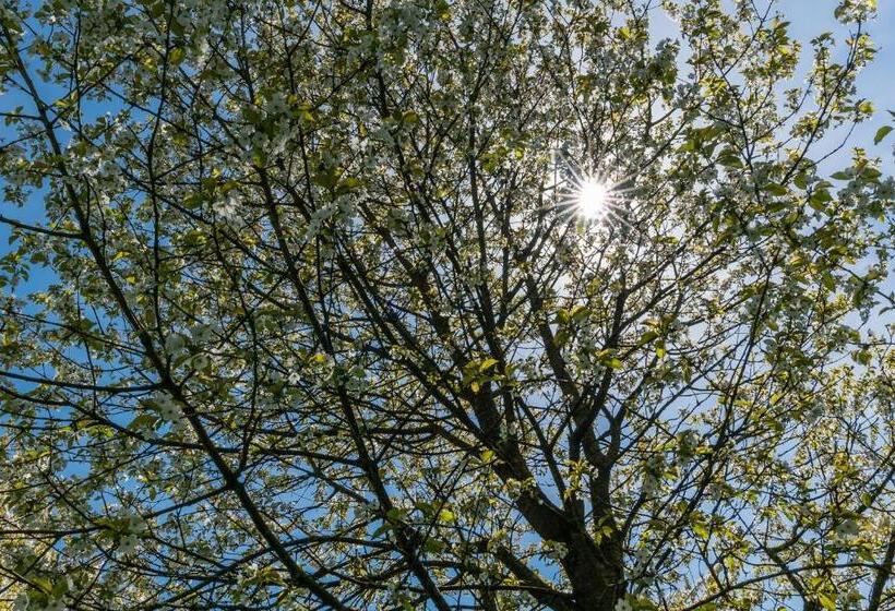 חדר דלוקס, De Oosterling