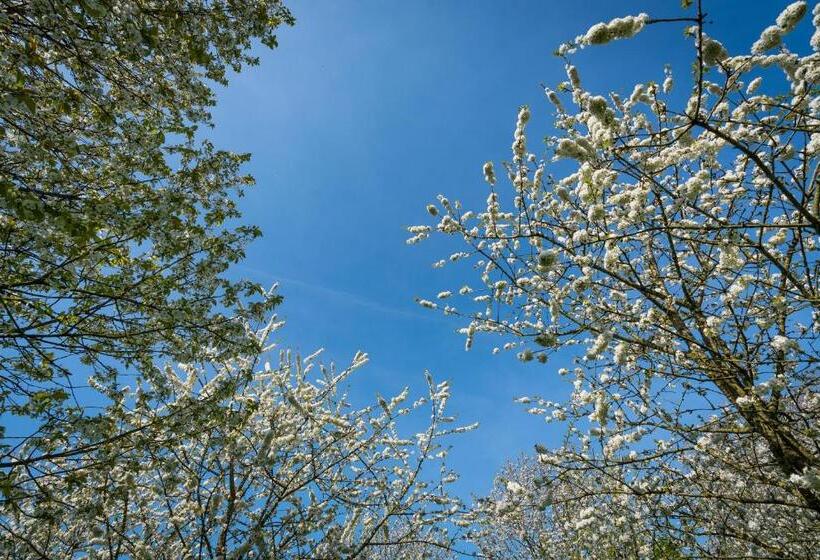 חדר דלוקס, De Oosterling