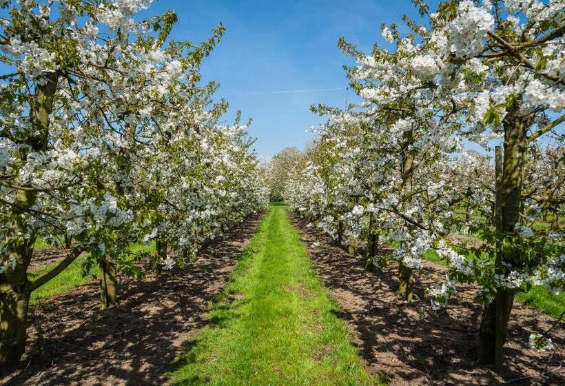 חדר דלוקס, De Oosterling