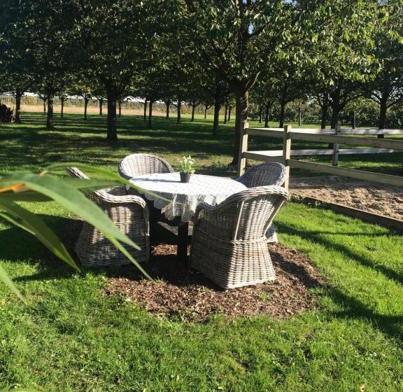 חדר דלוקס, De Oosterling