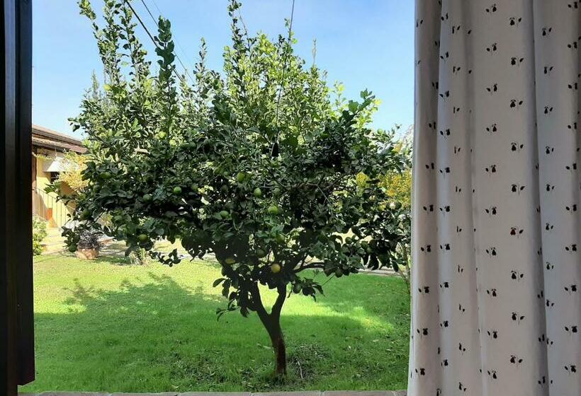 غرفة قياسية, Agriturismo Podere Bedin