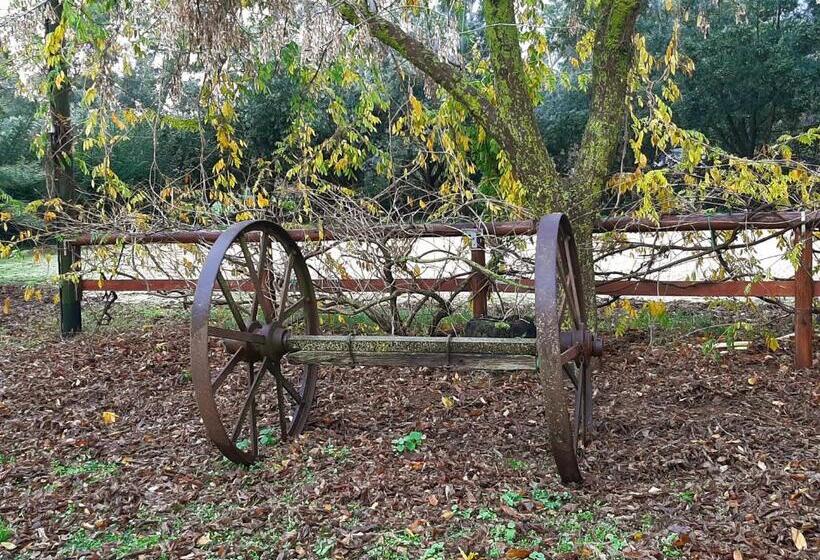 غرفة سوبيريور عائلية, Agriturismo Podere Bedin