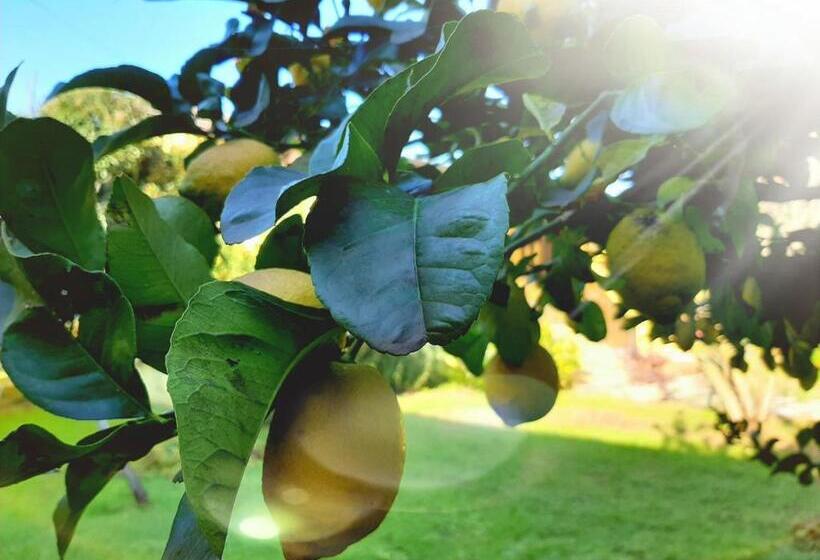 غرفة سوبيريور عائلية, Agriturismo Podere Bedin