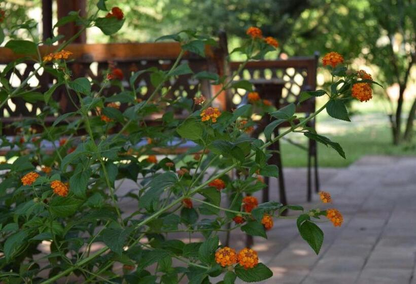 غرفة سوبيريور عائلية, Agriturismo Podere Bedin