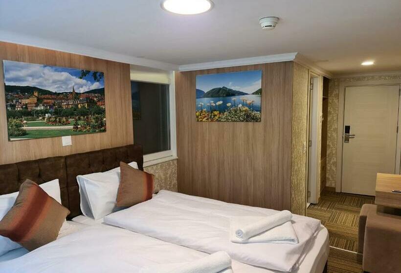 스탠다드 싱글 룸, Helvetia