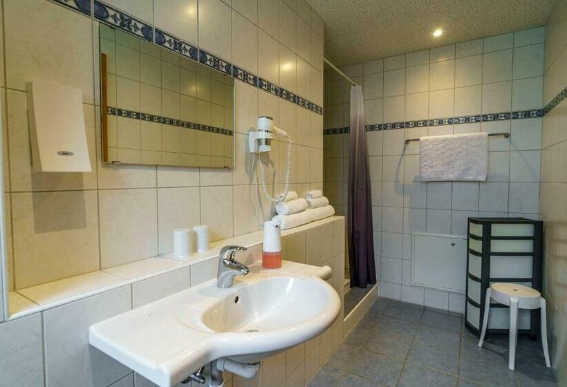 Апартаменты 1 Спальня с Террасой, Seeblick Smart Hotel Rössli
