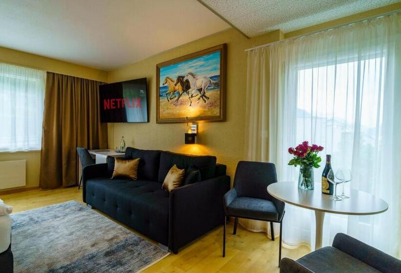 Номер Стандарт, Seeblick Smart Hotel Rössli