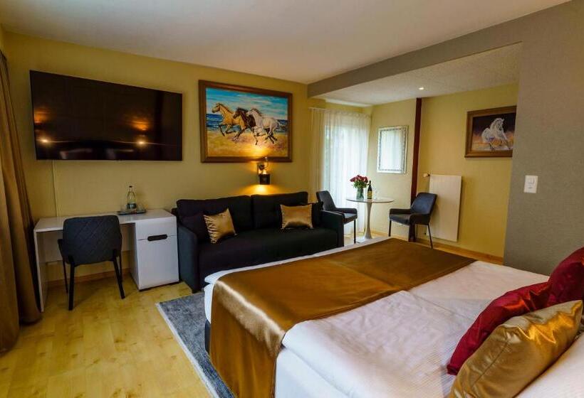 スタンダードルーム, Seeblick Smart Hotel Rössli