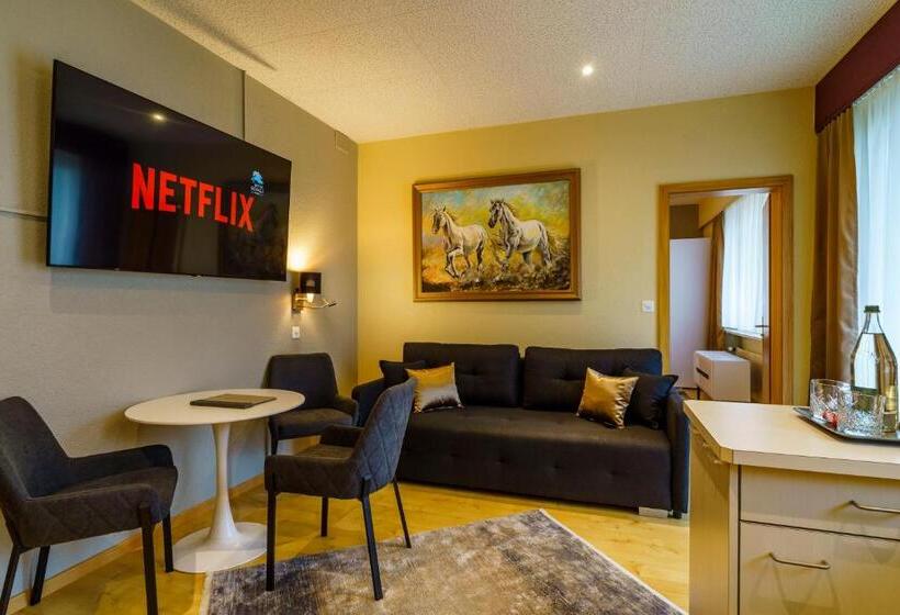 テラス付き1ベッドルームアパートメント, Seeblick Smart Hotel Rössli