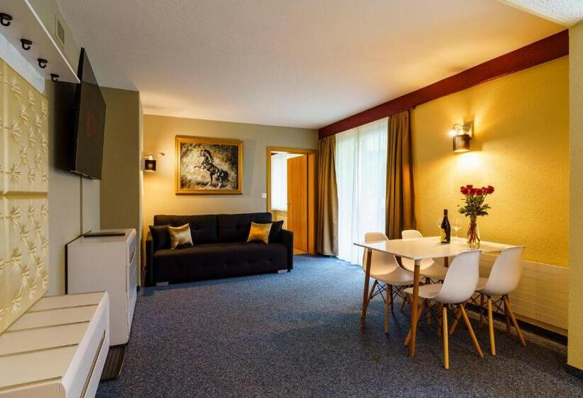 Апартаменты 1 Спальня с Террасой, Seeblick Smart Hotel Rössli