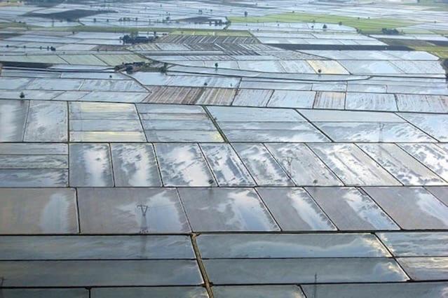 基本间, B&b La Mondina