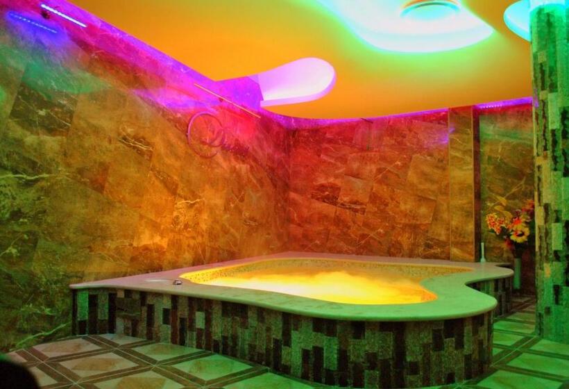 Номер Стандарт с доступом в Спа, Discret Hotel & Restaurant