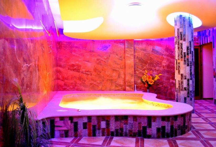 Номер Стандарт с доступом в Спа, Discret Hotel & Restaurant