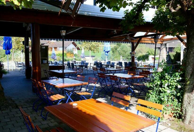 إستوديو قياسى, Motel & Aparthotel Brüggli