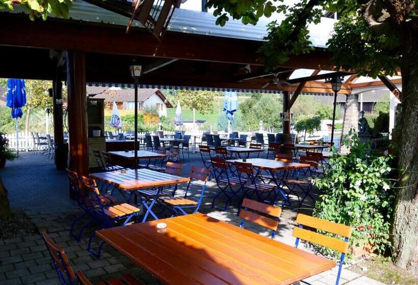 غرفة قياسية فردية, Motel & Aparthotel Brüggli