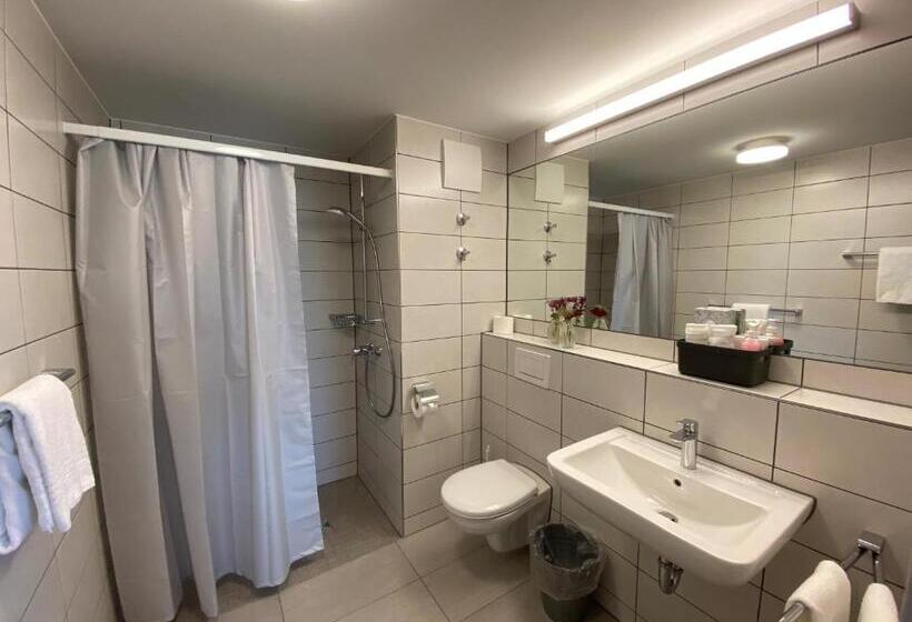 Номер Стандарт Индивидуальный, Motel & Aparthotel Brüggli