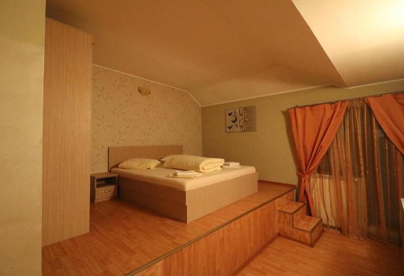 חדר סטנדרט, Pensiunea Baroque Slimnic