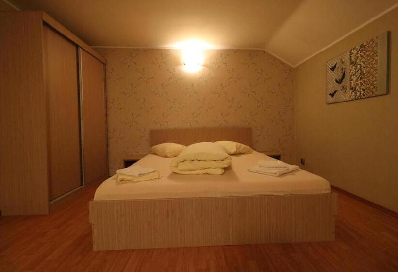 חדר סטנדרט, Pensiunea Baroque Slimnic