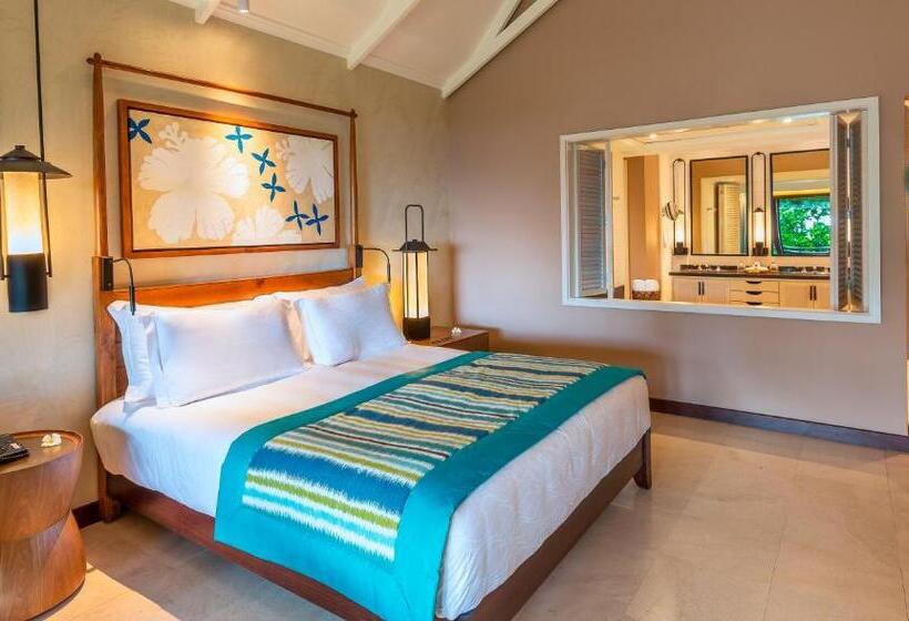 سوییت جونیور, Constance Lemuria