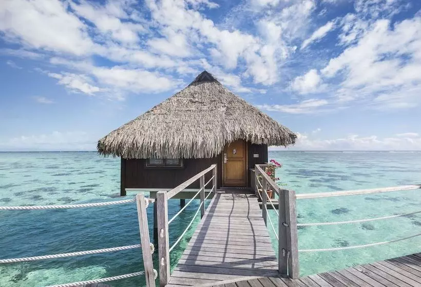 بانگلوی ممتاز, Hilton Moorea Lagoon Resort And Spa