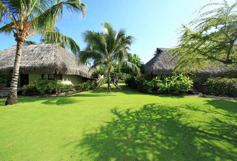 اتاق استاندارد با تخت بزرگ, Hilton Moorea Lagoon Resort And Spa