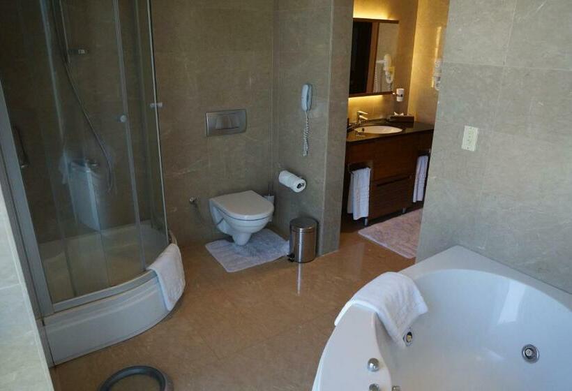 סוויטה אקזקיוטיב, Ilica Hotel Spa & Wellness Resort