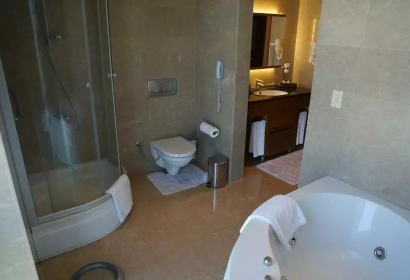 エクゼクティブスイート, Ilica Hotel Spa & Wellness Resort